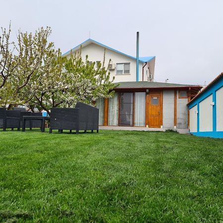 מלון מחמודיה Casa Matei מראה חיצוני תמונה